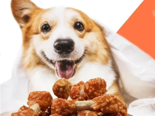 Baked Dog Treats Recipe: Delight Your Canine with Nutritious Snacks