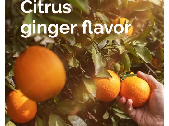  "Delicious and Unique Turkey Recipe Using Oranges: A Citrus-Infused Holiday Delight"