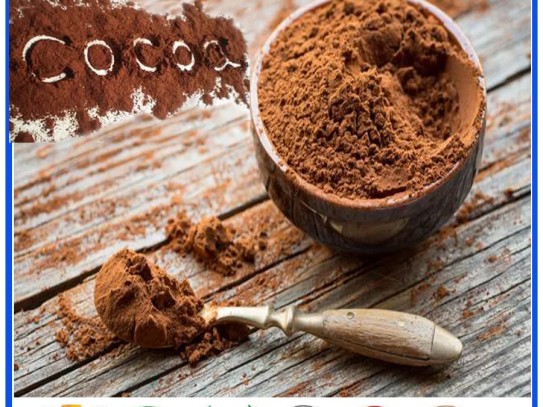 Best Hot Cocoa Recipe with Cocoa Powder: The Ultimate Guide to a Delicious Homemade Treat